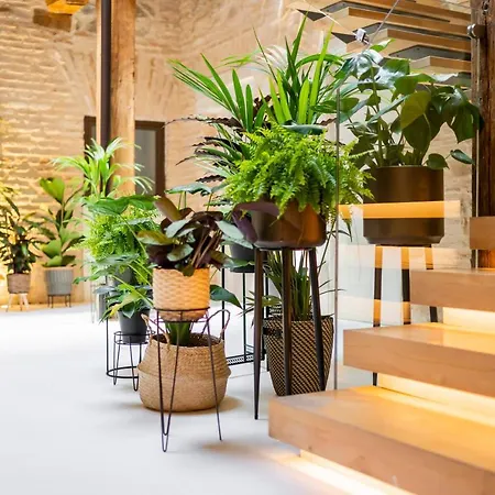 Hotel Azacanes Boutique